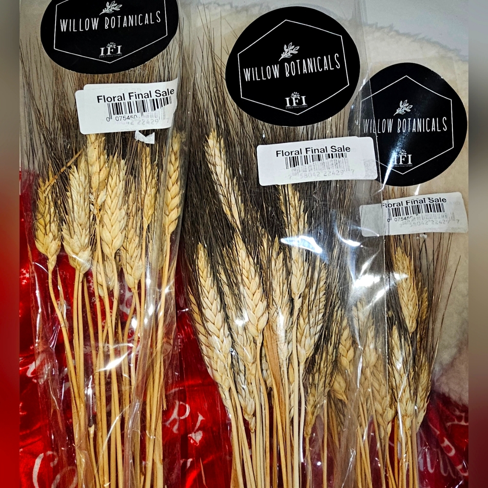 6 Willow botanical sets of dried cat tails and dark wheat